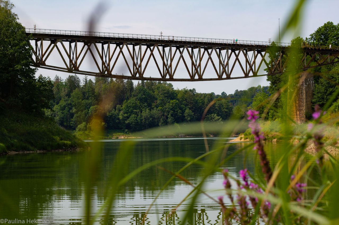 Most Pilchowicki budzi kontrowersje. Te zdjęcia pokazują, że należy mu się ochrona