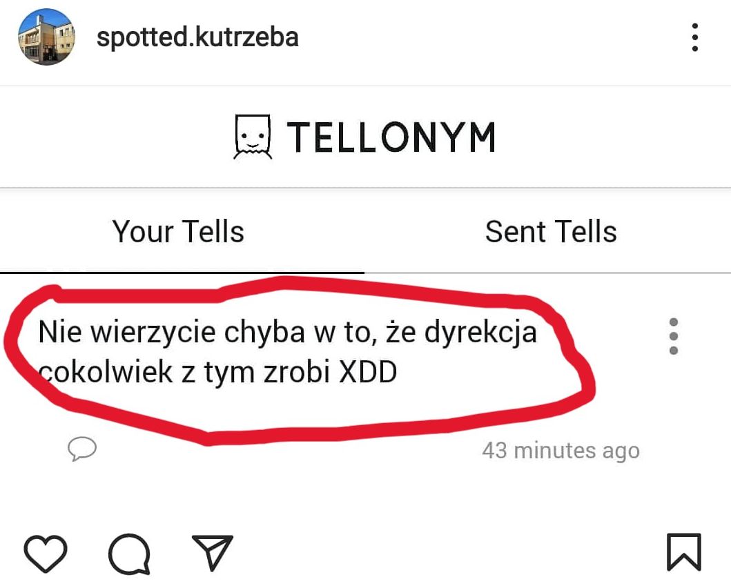 Hejterzy wykorzystywali anonimowe narzędzie Tellonym, by nękać ofiary. 