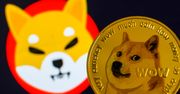 Shiba Inu osiąga ogromne wyniki. Właściciele kryptowaluty stali się milionerami