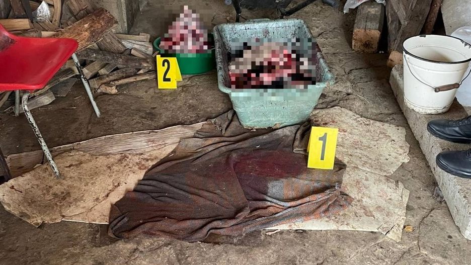 Mężczyzna, który zabił, a następnie poćwiartował swoje psy, został skazany. Społeczeństwo oburzone wyrokiem sądu