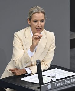 AfD pyta o Bundeswehrę. Ministerstwo Obrony podnosi alarm