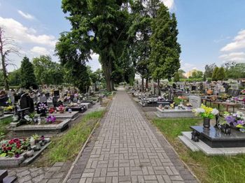 Przełomowy wyrok sądu. Chodzi o opłaty na cmentarzach