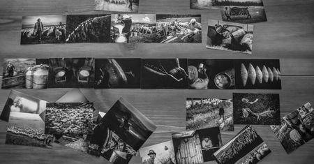Fotoreportaż w praktyce część II – selekcja i edycja zdjęć [poradnik]