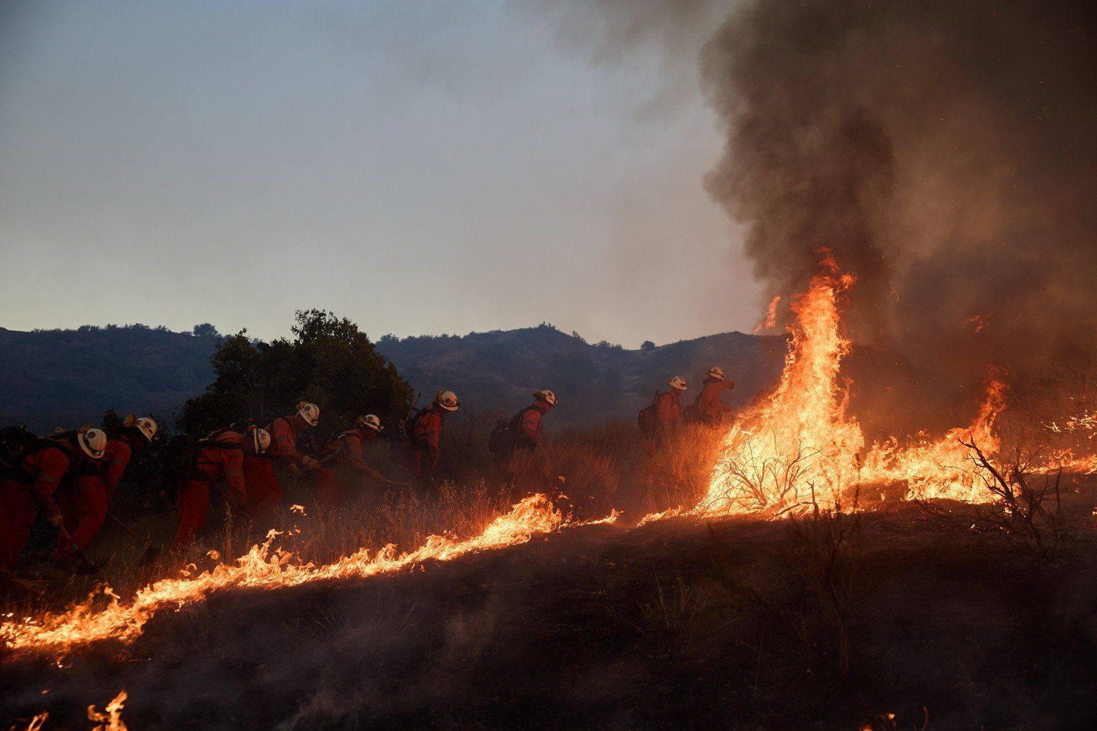 Canyon Fire