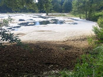 Katastrofa ekologiczna na rzece Wkra. Apel o unikanie kontaktu z wodą