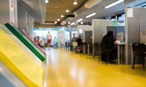Media: dyrektorka z zarzutami dostała pracę w Wojewódzkim Urzędzie Pracy