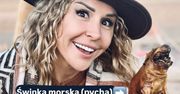Blanka Lipińska żartuje (?), że lubi jeść świnkę morską z grilla: "PYCHA". Boki zrywać?