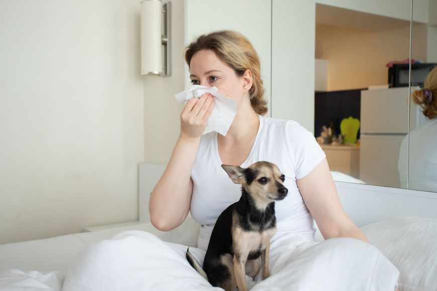 Objawy alergii na psy i koty to m.in. katar i kichanie