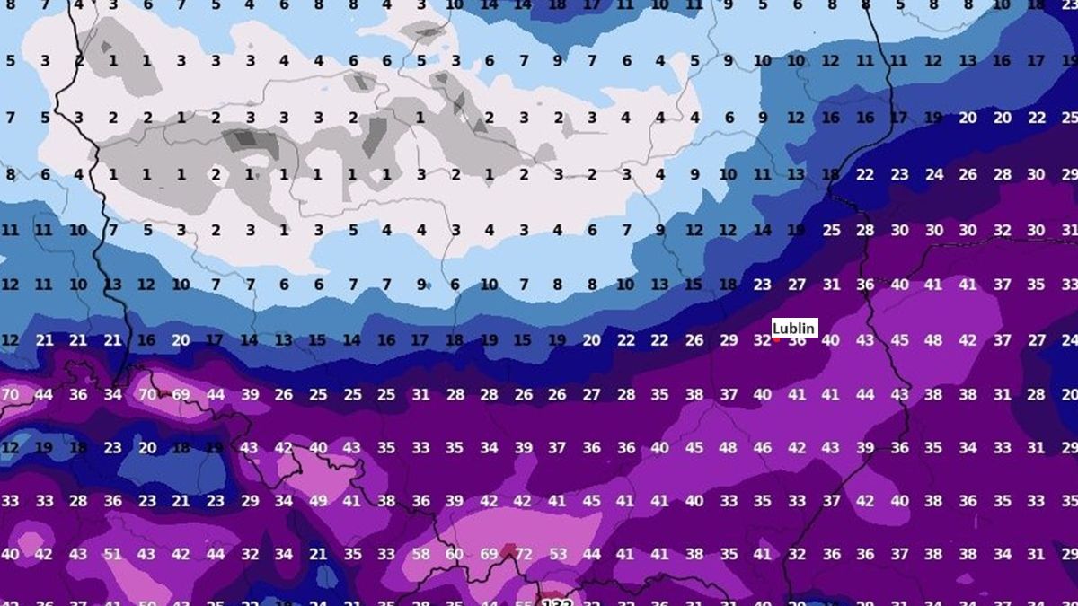 Śnieżyca w Polsce. Prognozowana pokrywa śnieżna o godzinie 14:00, 3 grudnia 2023