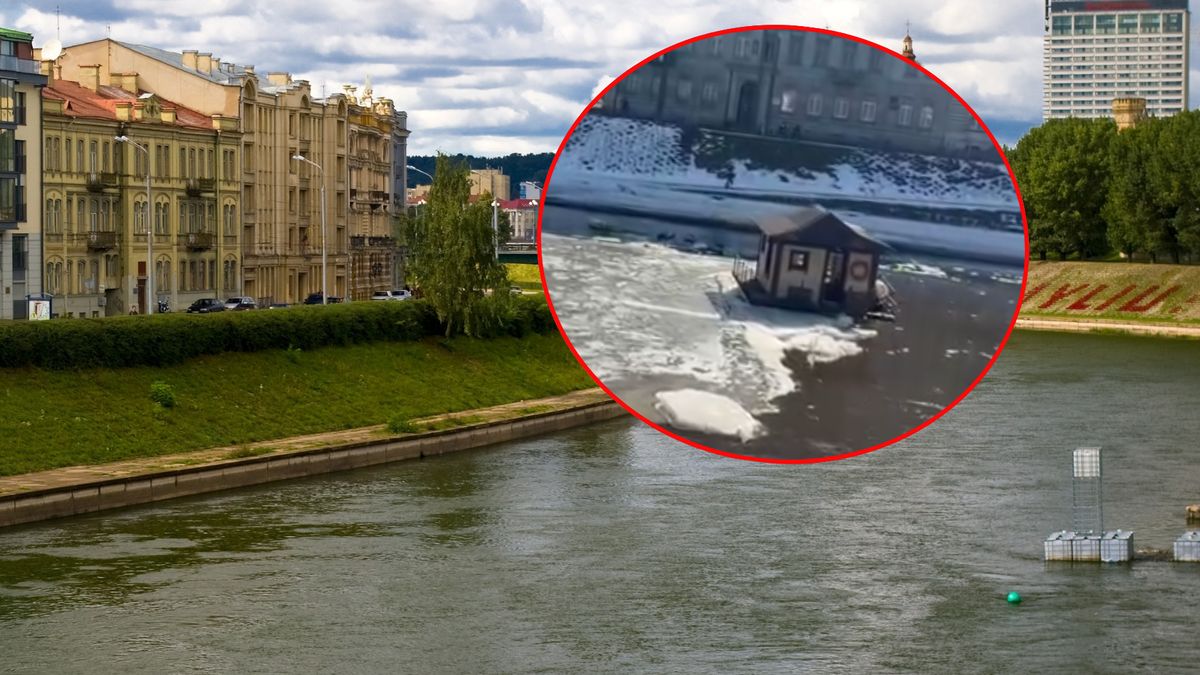 Taki widok nie zdarza się często 