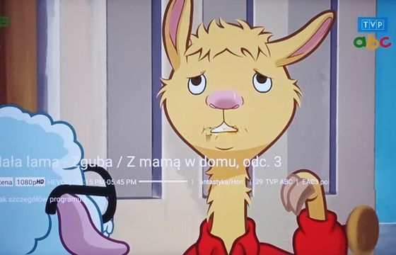 Jeden kanał TVP w DVB-T2/HEVC. „Partia zapomniała o dzieciach”