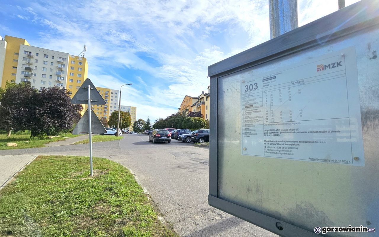 Gorzów: Ruszają testy minibusów na osiedlach. Przejazdy będą darmowe