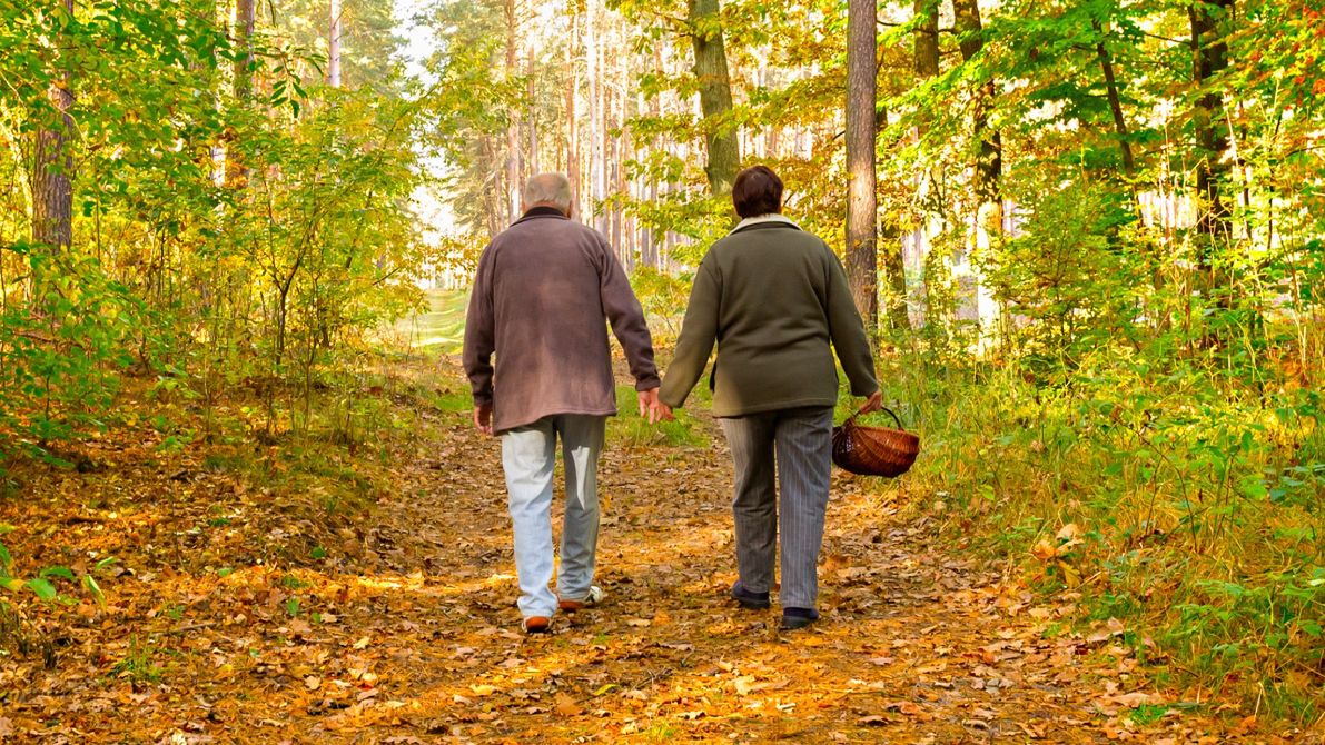 Tragedia na grzybach. Zdjęcie poglądowe