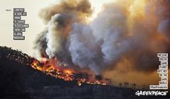 Greenpeace wzywa do zakazu lotów prywatnymi odrzutowcami