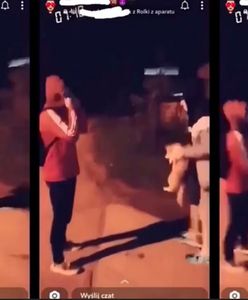 Rzucali kotem dla zabawy. Sprawcy wpadli po trzech latach