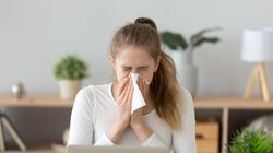 IgA  - charakterystyka, przygotowanie, przebieg, interpretacja wyników