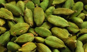 Dodaj do kawy. Aromatyczna przyprawa hamuje rozwój komórek raka