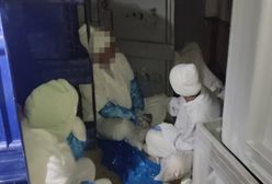 Zajrzeli do pojemników na mięso. Przecierali oczy ze zdumienia