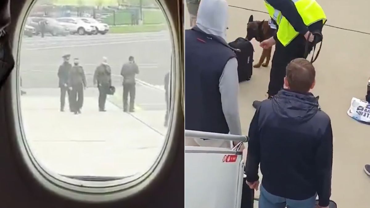 Psy na lotnisku w Mińsku szukały w bagażach ładunku wybuchowego