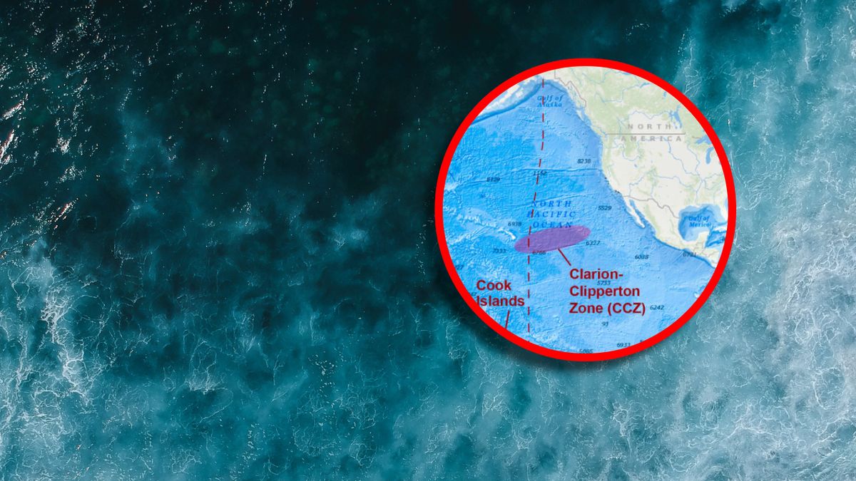 Clarion-Clipperton Fracture Zone