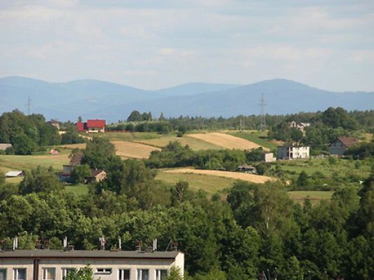 Obraz