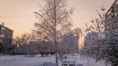 Jaka czeka nas zima? Są bardzo dobre wiadomości