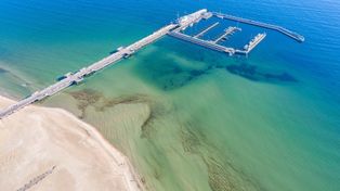 Sopot: Zakochali się w nim Norwegowie. Chcą tu spędzać lato