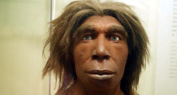 Jedna z rekonstrukcji neandertalczyka (CC wikimedia)