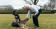 Joe Biden przekazał smutną wiadomość. Zdechł jego pies Champ. "Był wiernym kompanem"