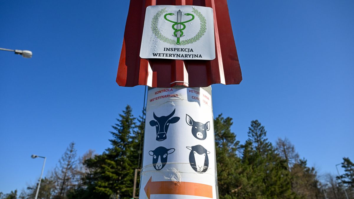 punkt kontroli weterynaryjnej
Darek Delmanowicz
polsko-slowackie, pryszczyca, zagro�enie