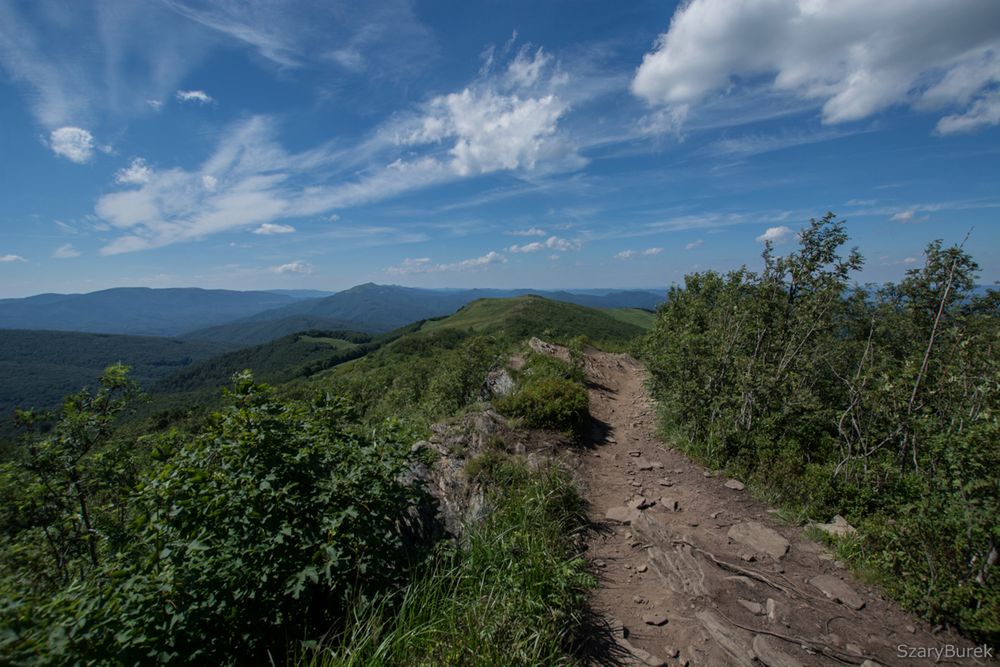 Rzuciłem wszystko i pojechałem w Bieszczady. Taką fotograficzną podróż polecam każdemu 11
