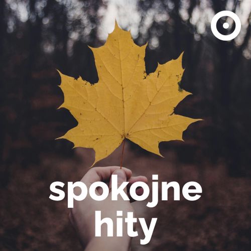 Logo stacji Spokojne Hity