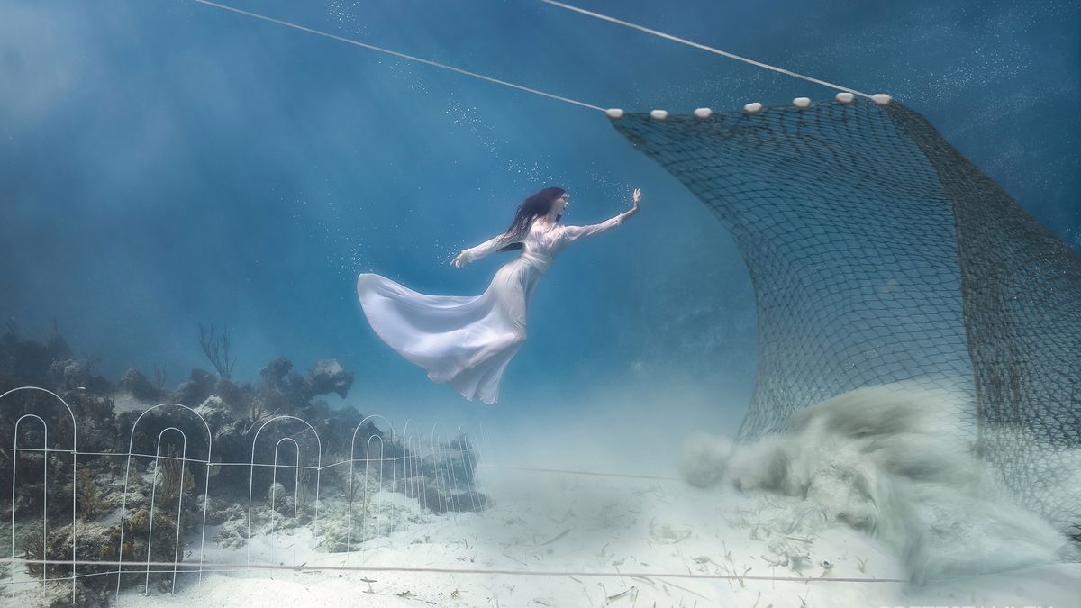 Podwodny duet fotograficzny staje w obronie środowiska morskiego 1