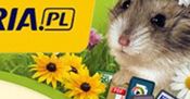 Interia: po prostu się rozwijamy
