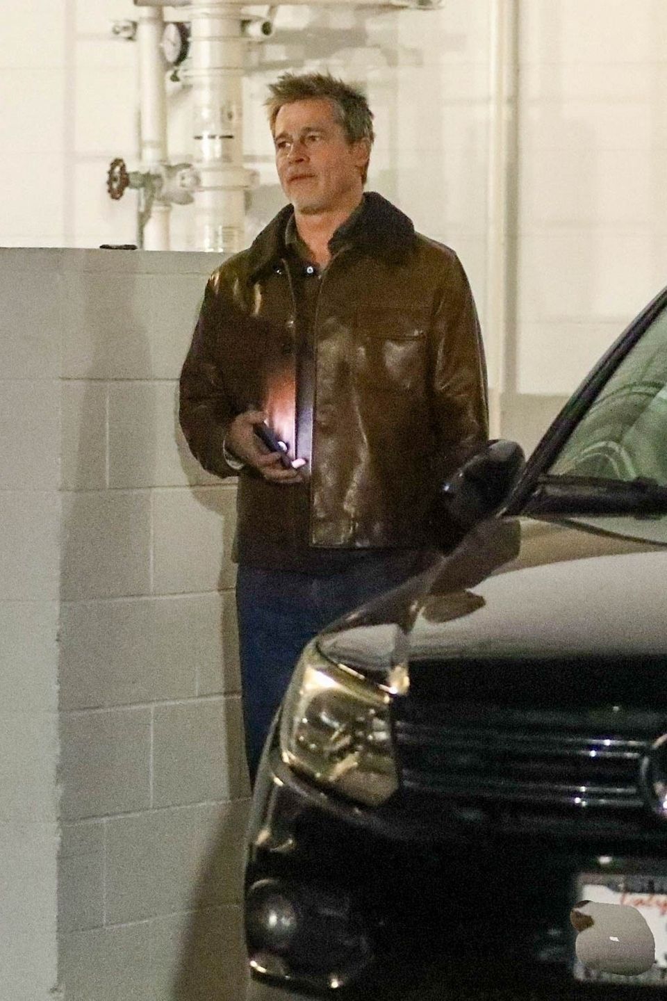 Brad Pitt na randce z młodszą o 27 lat Ines de Ramon