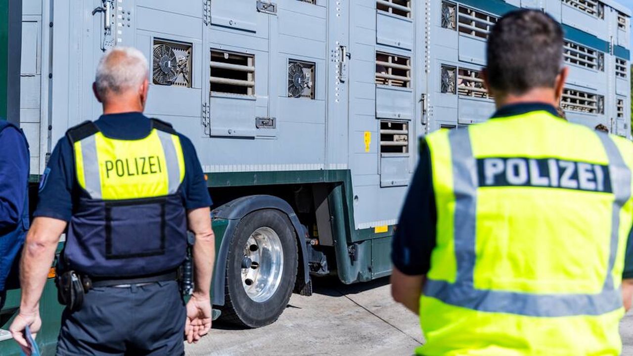 Polacy zatrzymani przez niemiecką policję. Straty to 335 tys. euro