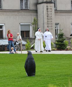 Miały stracić 600 tys. zł na "synów". Wojewoda zabrał głos