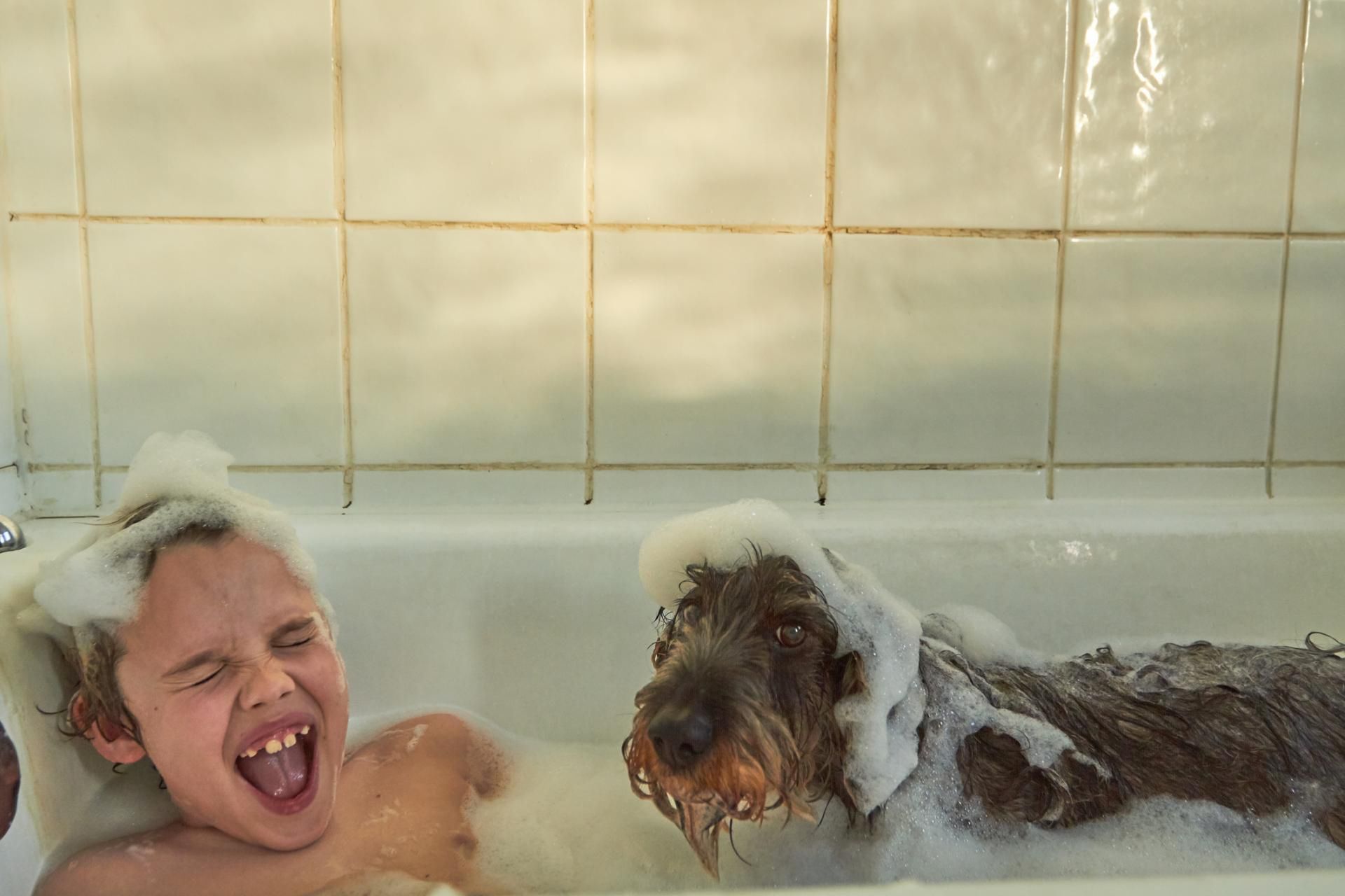 Jaka rasa psa jest najlepsza dla rodziny z dzieckiem?