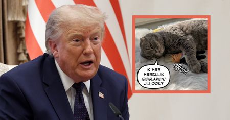 Trump pośmiewiskiem w trakcie mundialu. Internet odpowiedział mu serią kpin