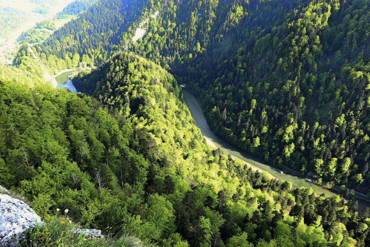 Szczawnica: Turyści przez przypadek przekroczyli granicę. Teraz muszą przejść kwarantannę