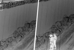 Nocne forsowanie granicy. Kamery zarejestrowały interwencję służb