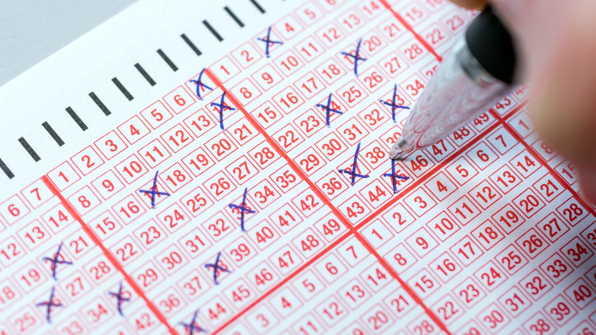 Wygrali w Lotto dzięki AI. Sztuczna inteligencja podała im liczby