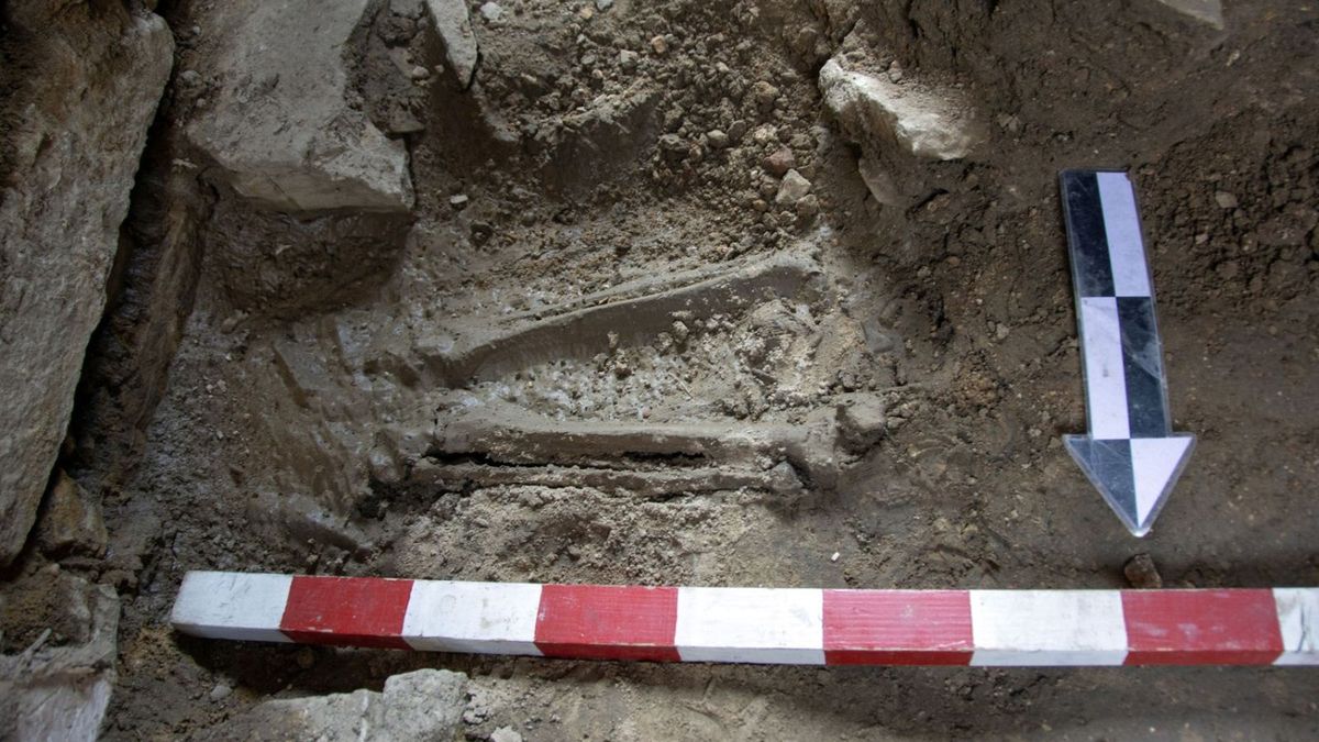 Szkielet pod kościołem św. Wojciecha