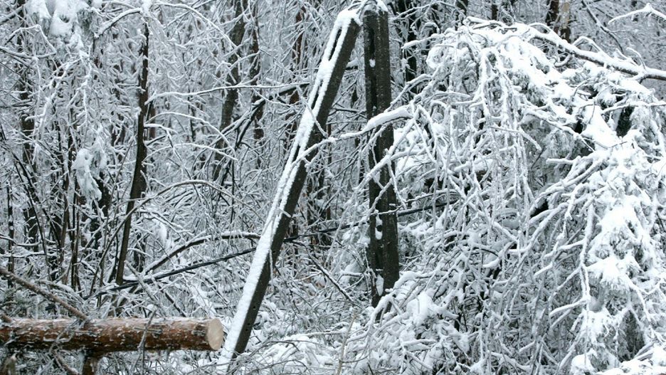 Podkarpacie. Śnieg uszkodził linie energetyczne. 40 tys. gospodarstw bez prądu