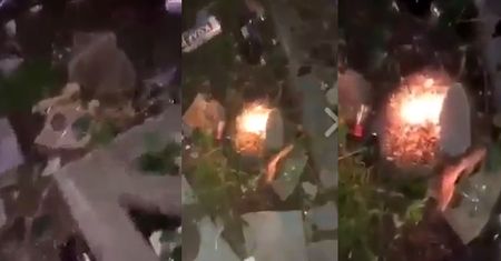Nastolatki SPALIŁY JEŻA! "Szmato je*ana. Oj chyba jeżyki się palą!"