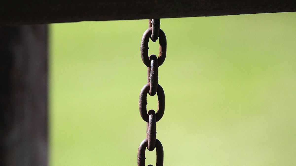 Zdjęcie ilustracyjne