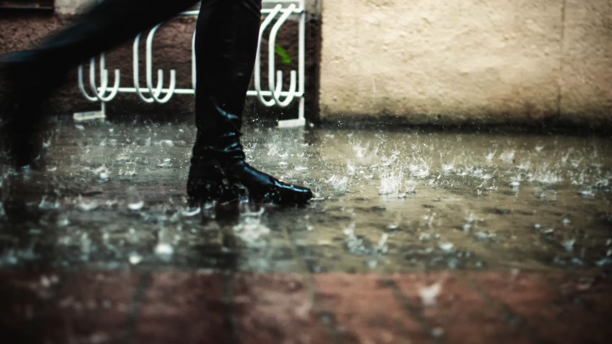 Zdjęcie ilustracyjne 