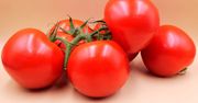 Skąd tak duże różnice w cenie pomidorów?