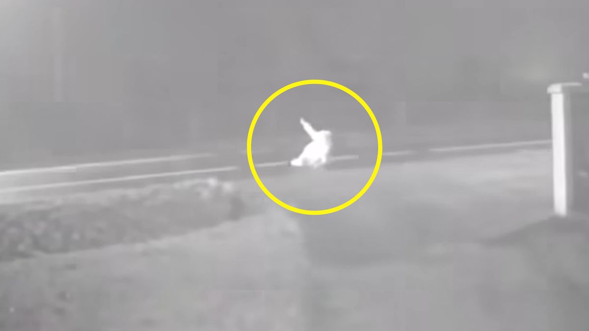 Kobieta potrzebowała pomocy. Nikt się nie zatrzymywał.