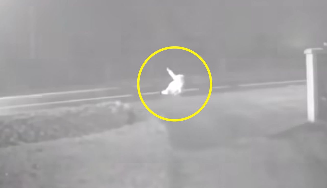 Nikt się nie zatrzymywał. Wstrząsające nagranie z udziałem seniorki